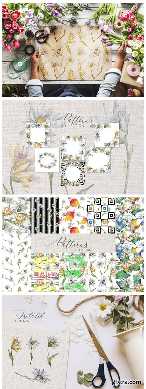 Daisy Watercolor PNG 4753157