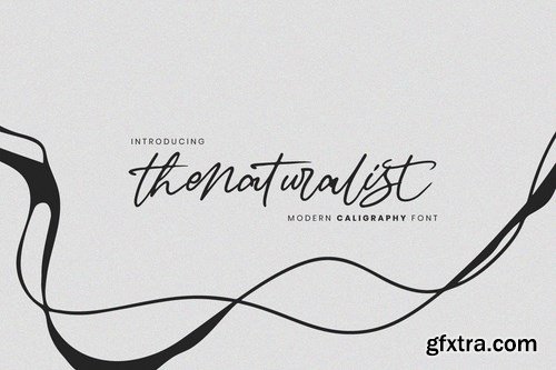 Thenaturalist Caligraphy Wedding Font