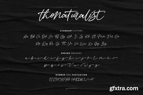 Thenaturalist Caligraphy Wedding Font