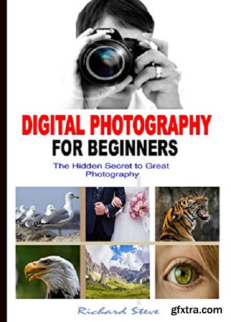 Digital Photography for Beginners: the Hidden Secret to Great Photography