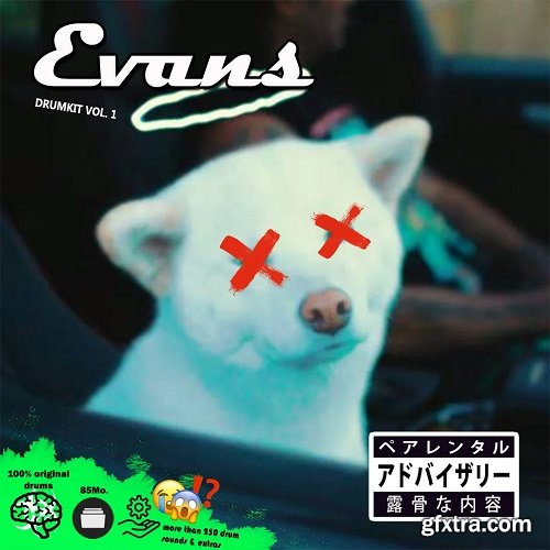 EVANS Drum Kit VOL 1 (2020) WAV