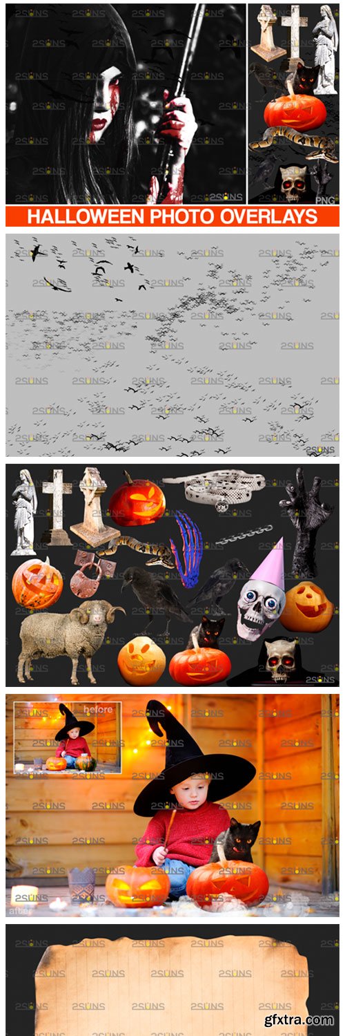 Halloween Clipart &amp; Halloween Overlays 5542443