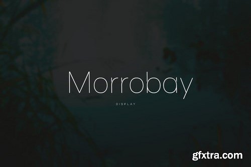 Morrobay Unique Typeface with Web-fonts