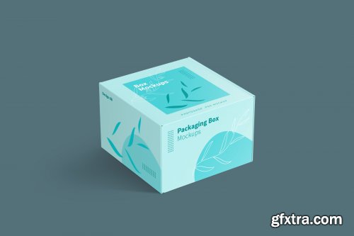 Mailer Box Packaging Mockups