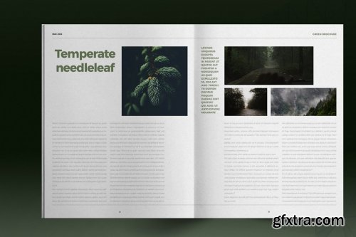 CreativeMarket - Green Lifestyle Brochure Layout 5297322