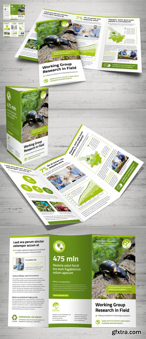 Tri-Fold Layout with White and Green Design 375187854 