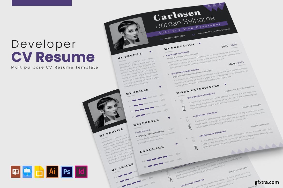 Developer Pro CV & Resume » GFxtra