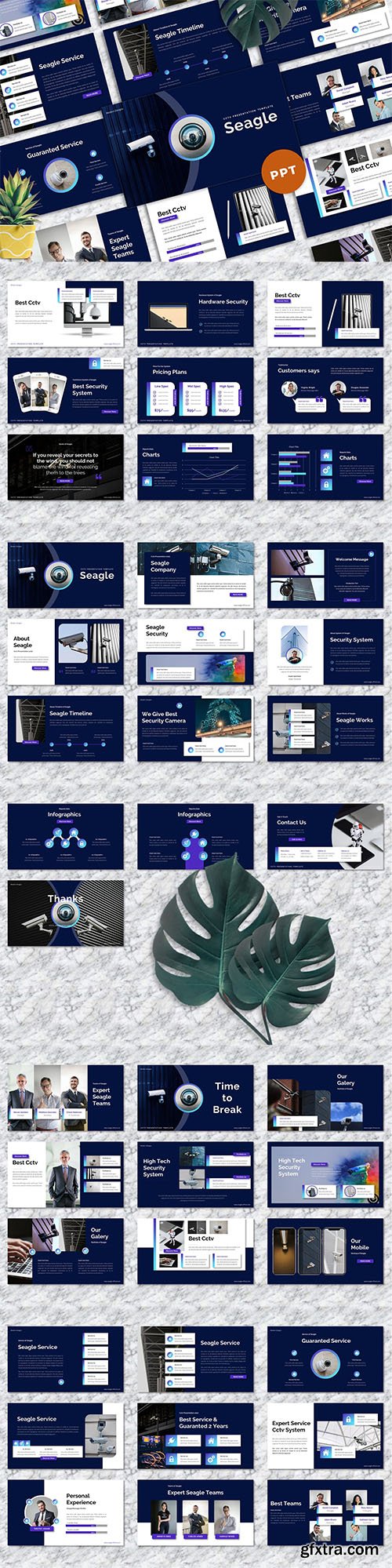 Seagle - CCTV Powerpoint Templates