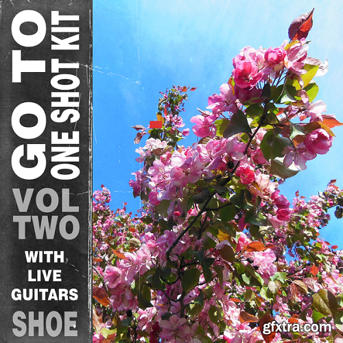 SHOE Go To One Shot Kit Vol 2 WAV