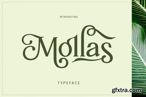 CM - Mollas Typeface 5345337