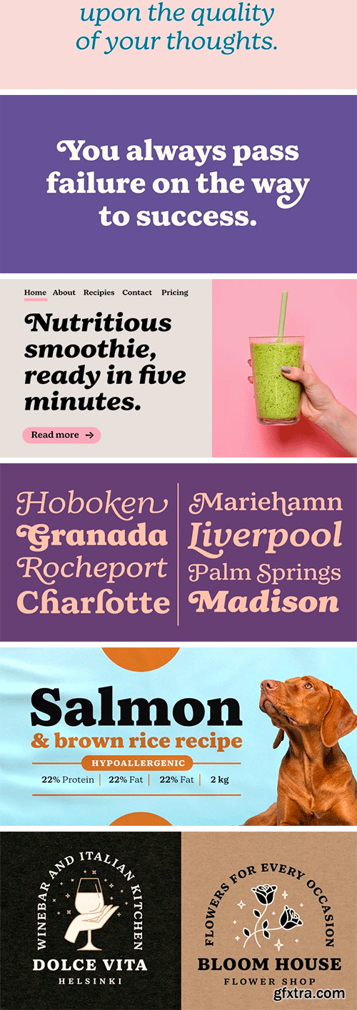 Bogue Slab Font Family