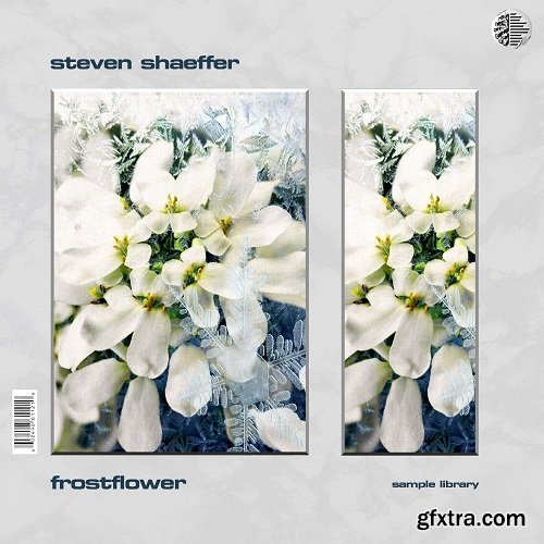 Steven Shaeffer Frostflower Sample Library WAV-DECiBEL