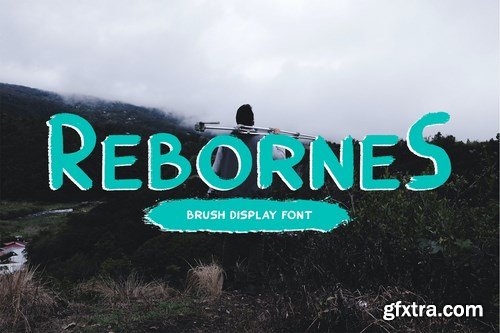 ReborneS