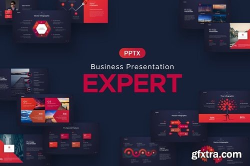 Expert Business Powerpoint Template