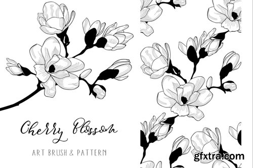 Cherry Blossom. Floral Design Element. Art Brush.