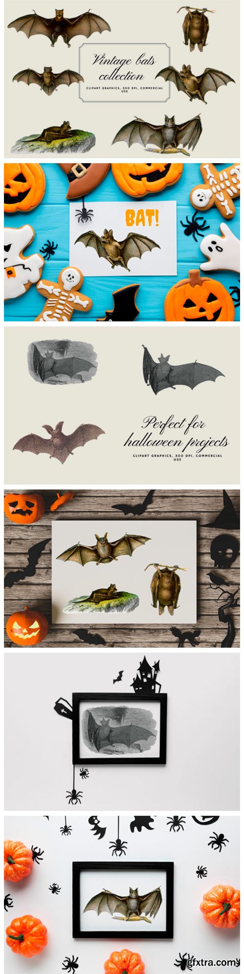 Vintage Bats Collection, Creepy Graphics 5919304