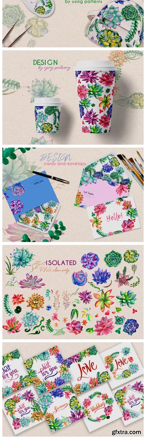 Succulent Plant PNG Watercolor Set 4758017