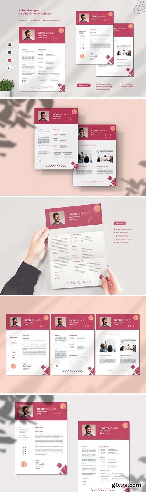 Sales Manager CV Resume