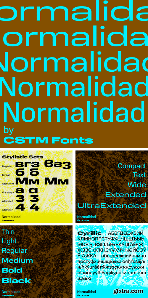 Normalidad Font Family