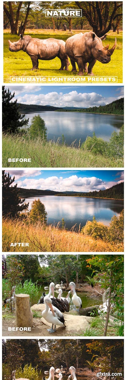 Cinematic Lightroom Presets Nature Tone 6099942