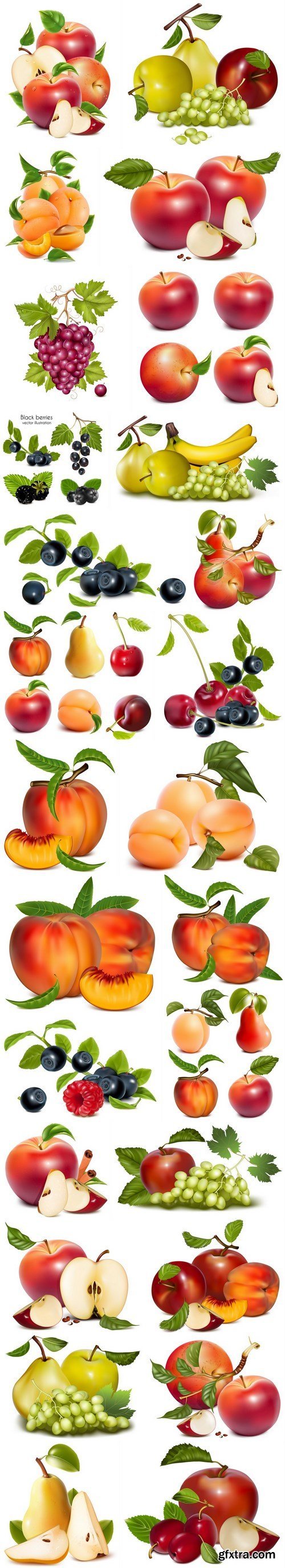 Collection of vector fruits - 26xEPS