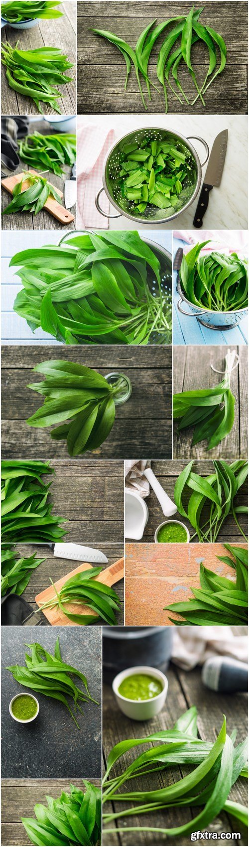 Ramson or wild garlic leaves - 15xHQ JPEG