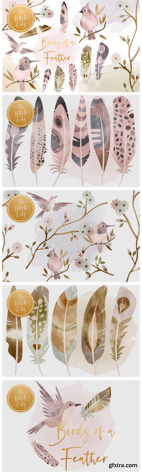 Birds & Feathers Clipart Set 6115115