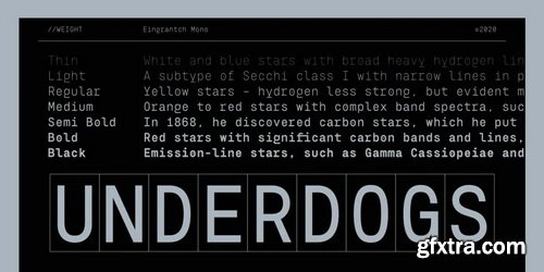 Eingrantch Mono Font Family