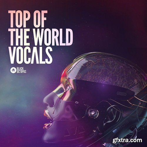 Black Octopus Sound Top Of The World Vocals MULTiFORMAT-FLARE