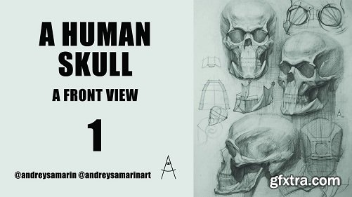 A Human Skull - a Front View masterclass