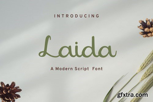 Laida - Modern script