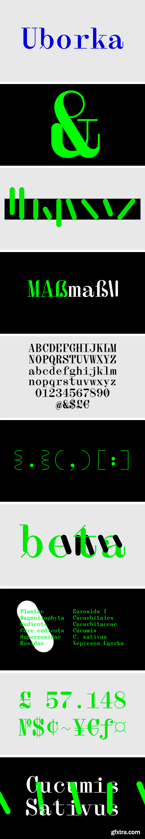 Uborka Monospace Serif Typeface