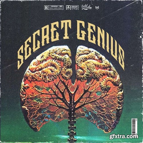 Cartel Loops Secret Genius MULTiFORMAT-FLARE