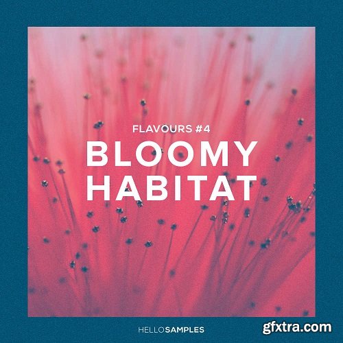 Hello Samples Flavours 4 Bloomy Habitat Ableton WAV