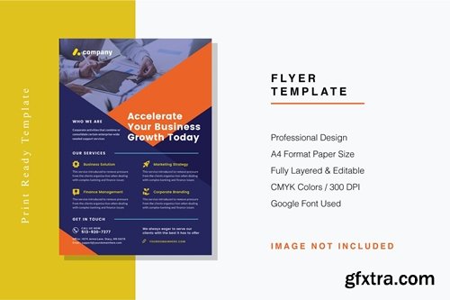 Professional Flyer Template