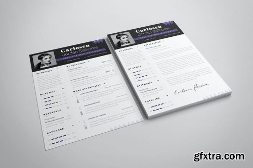 Developer Pro CV & Resume