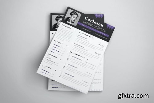 Developer Pro CV & Resume