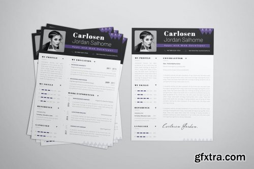 Developer Pro CV & Resume