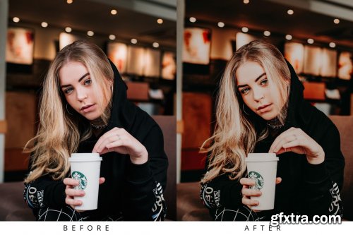 CreativeMarket - 10 Rich Mood Lightroom Presets 5435090