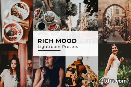 CreativeMarket - 10 Rich Mood Lightroom Presets 5435092