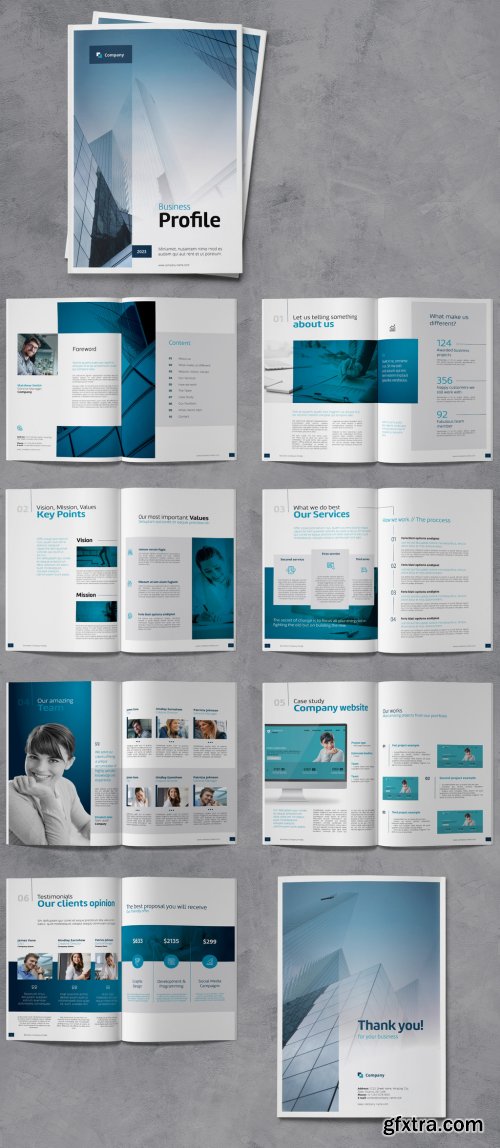 Business Brochure Company Profile with Blue Accents 382441951