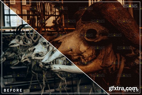 DesignBundles - 10 Halloween presets & Horror Lightroom presets