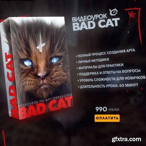 Max Twain – Bad Cat Editing Video