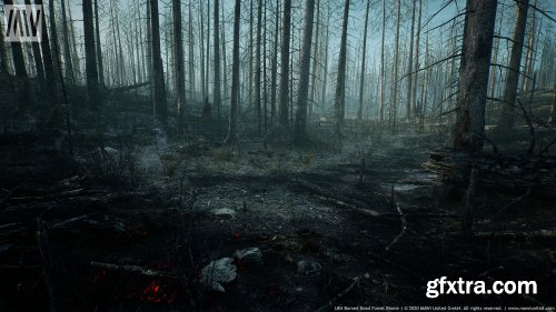 Burned Dead Forest Biome