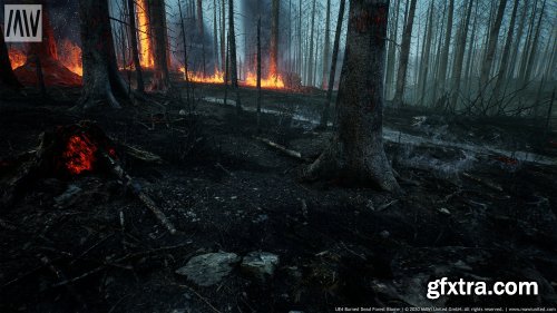 Burned Dead Forest Biome