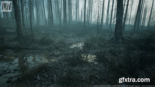 Burned Dead Forest Biome