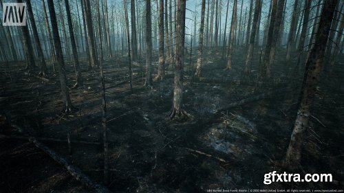 Burned Dead Forest Biome