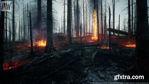 Burned Dead Forest Biome