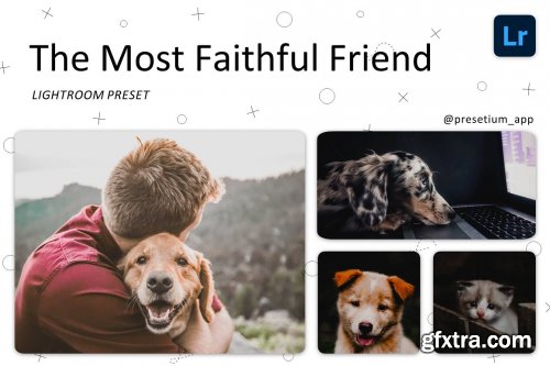 CreativeMarket - Faithful Friend - Lightroom Presets 5227534