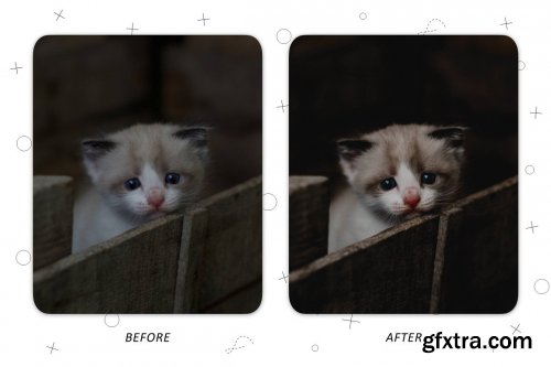 CreativeMarket - Faithful Friend - Lightroom Presets 5227534